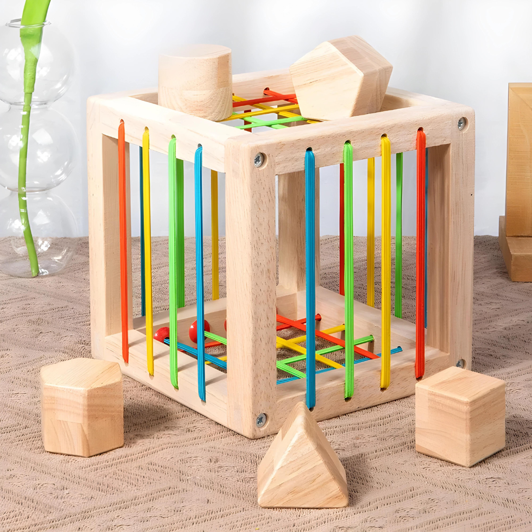 Montessori Wooden Shape Sorter For Early Learning