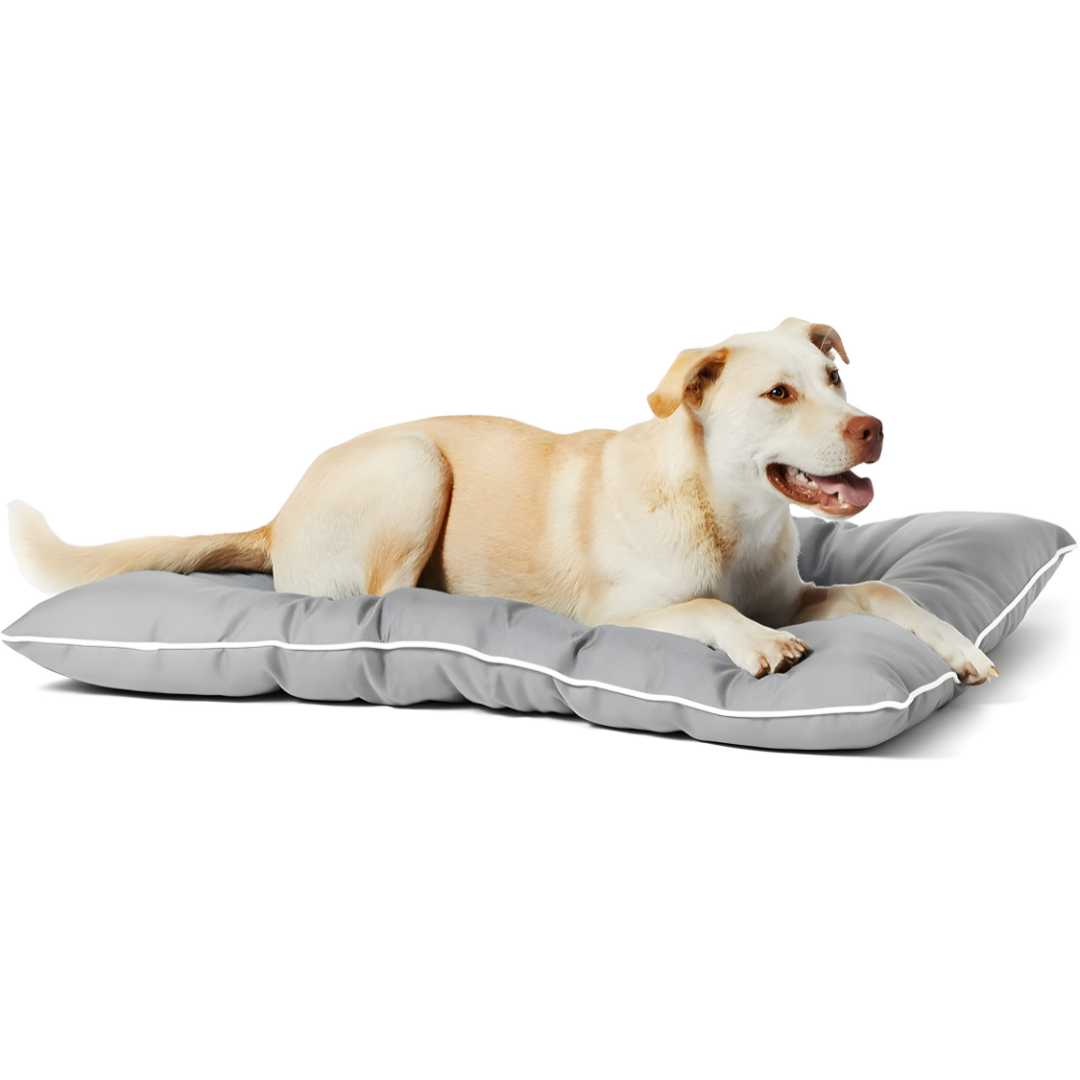 Amazon Basics Water-Repellent Pet Pillow Bed - Large