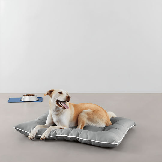Large Amazon Basics water-repellent pet pillow bed with dog resting
