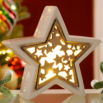 Livarno Home LED Christmas Decoration Star Or Tree