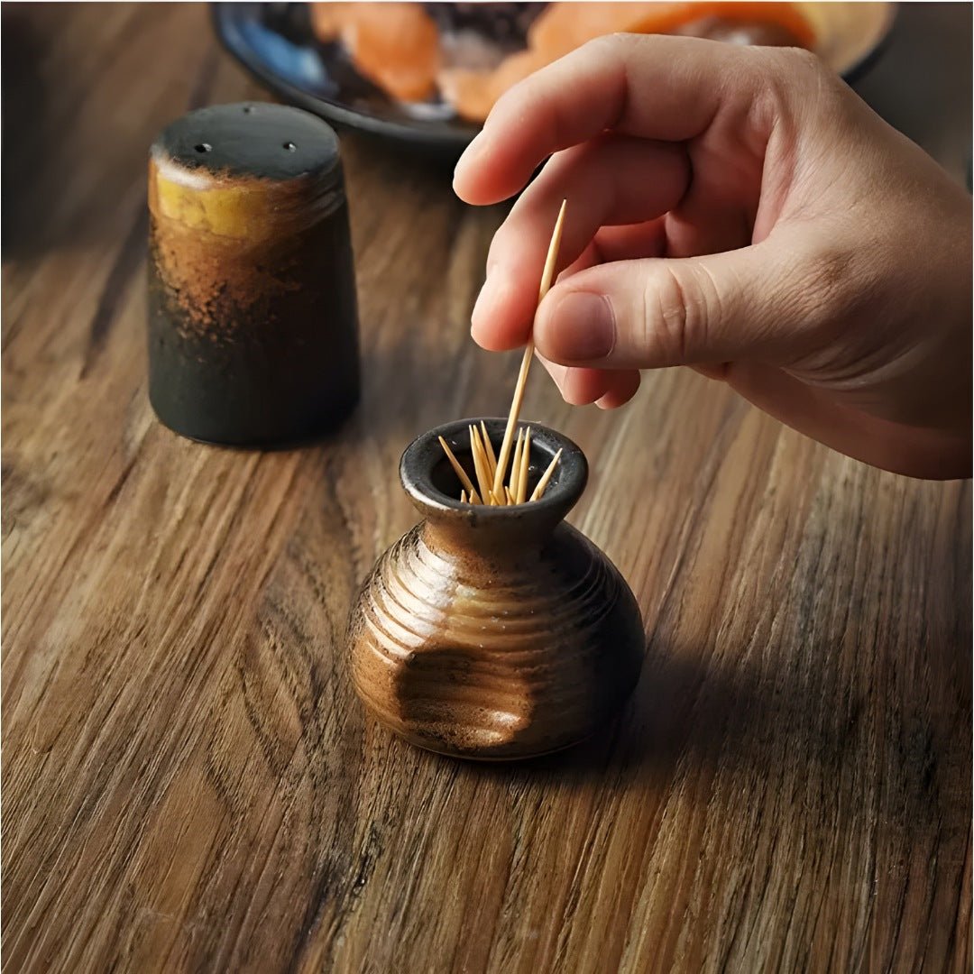 Japanese Retro Ceramic Seasoning Set | European Household