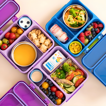 Premium All-in-One Bento Lunch Box Set