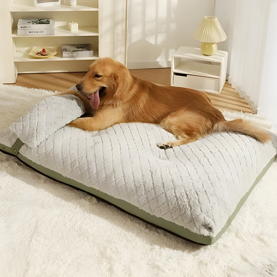 Four Seasons High End Dog Bed