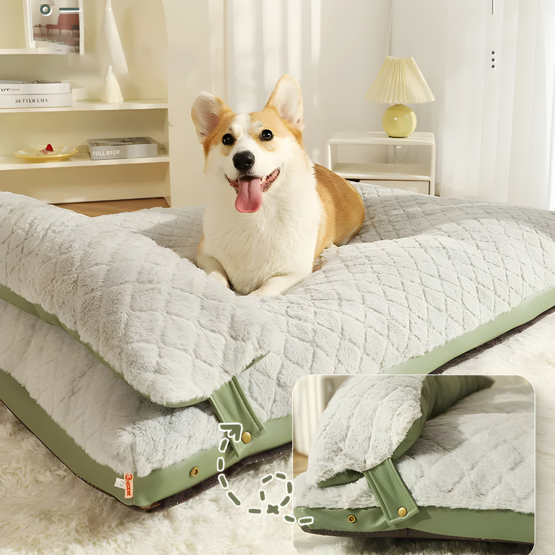 Four Seasons High End Dog Bed