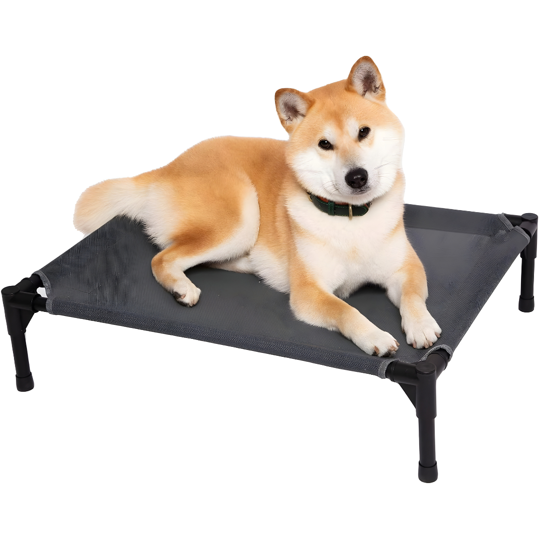 Durable Elevated Dog Bed with Metal Frame