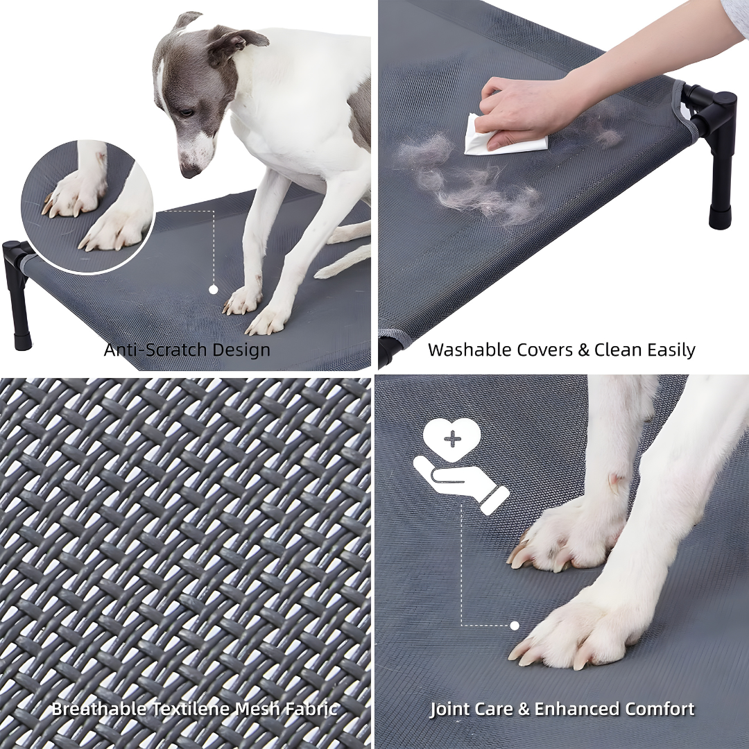 Durable Elevated Dog Bed with Metal Frame