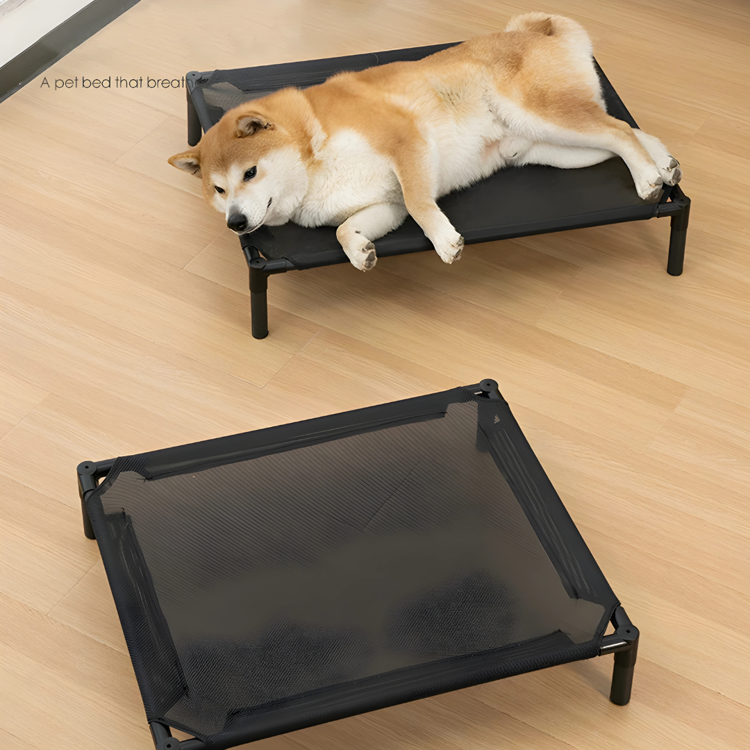 Durable Elevated Dog Bed with Metal Frame