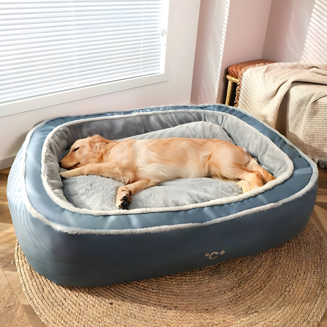 Detachable and Washable Premium Bed For Pets