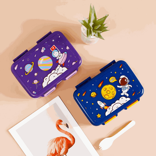 صندوق بينتو معزول فاخر من دريم سبيس