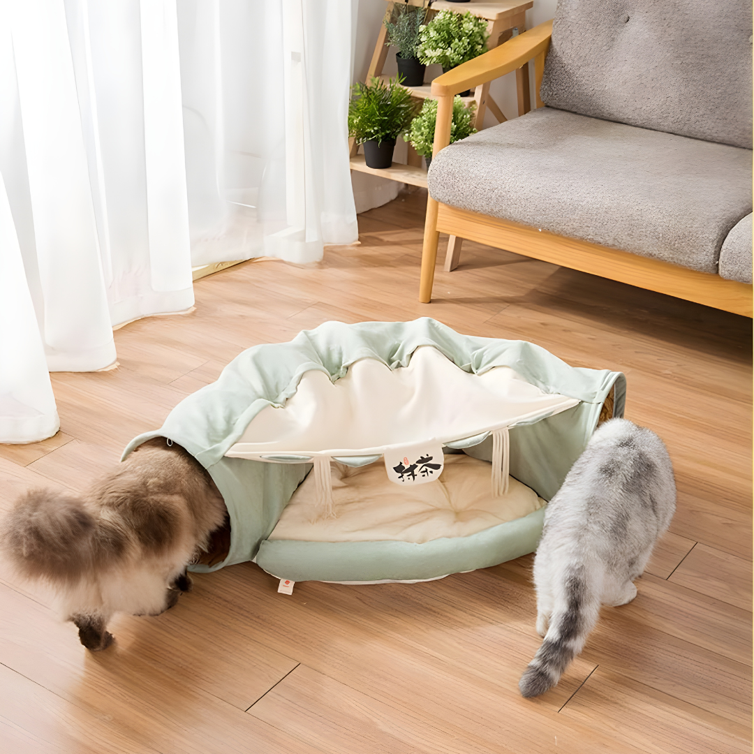 2-in-1 Cat Tunnel Bed with Cushion