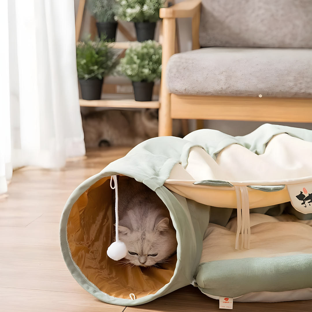 2-in-1 Cat Tunnel Bed with Cushion