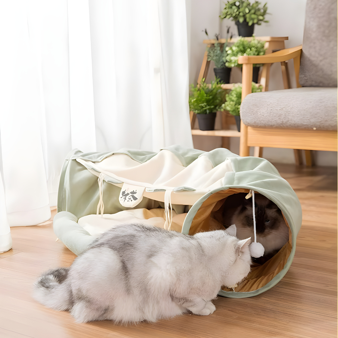 2-in-1 Cat Tunnel Bed with Cushion