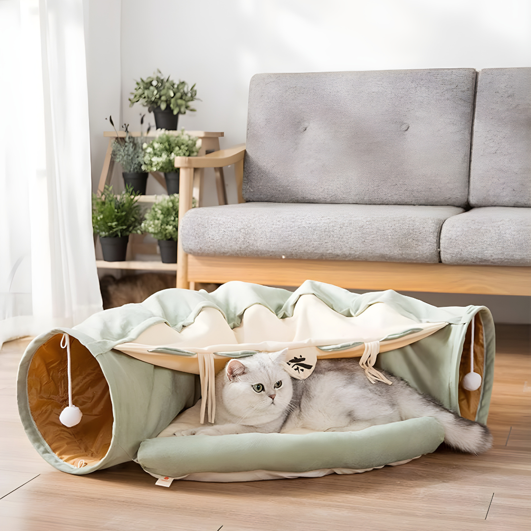 2-in-1 Cat Tunnel Bed with Cushion