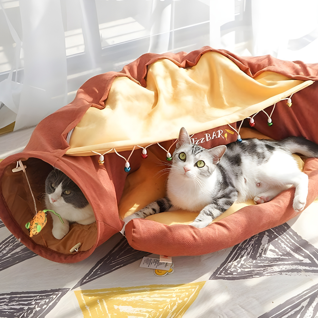 2-in-1 Cat Tunnel Bed with Cushion