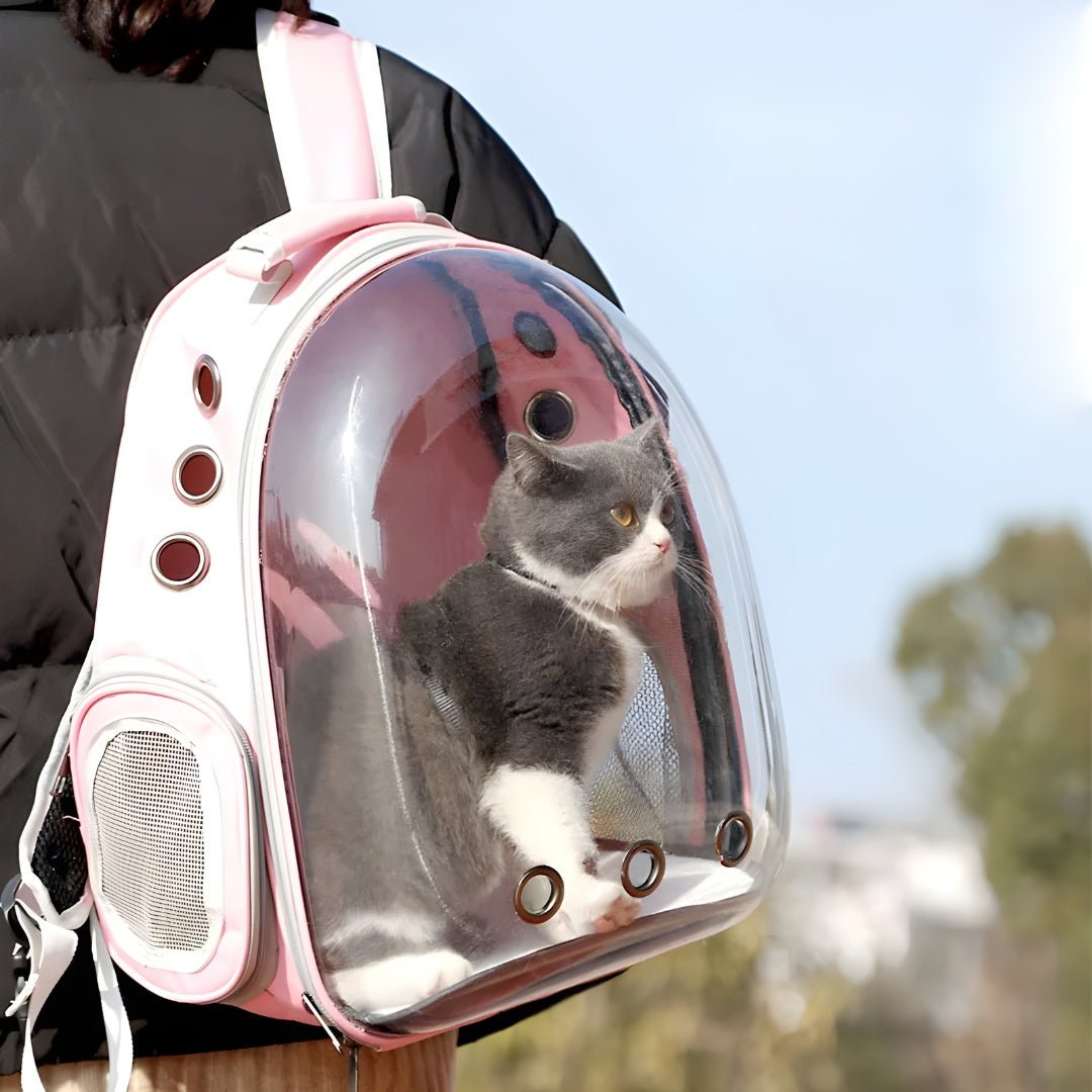 Expandable Transparent Pet Carrier Backpack|European Household|Lebanon