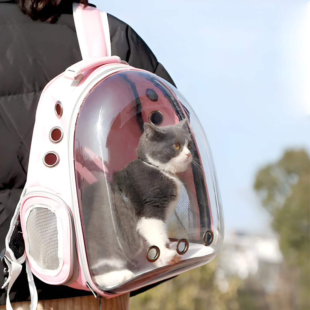 Expandable Transparent Pet Carrier Backpack Travel