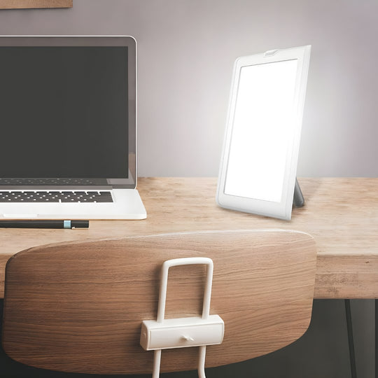 Livarno Home LED daglichtlamp 9W