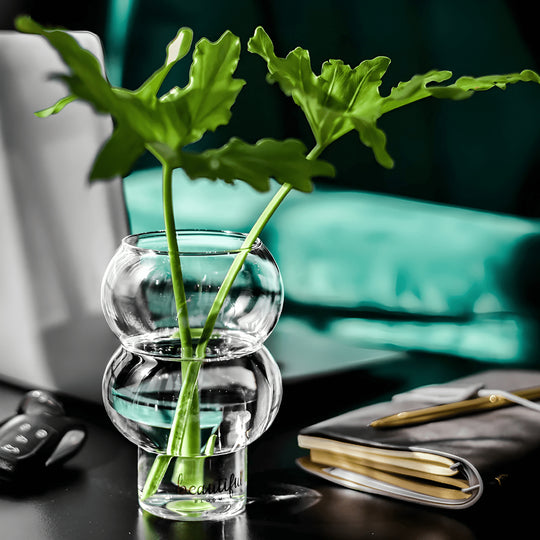 530ml lead-free curvy glass used as a drinkware and vase – stylish and versatile