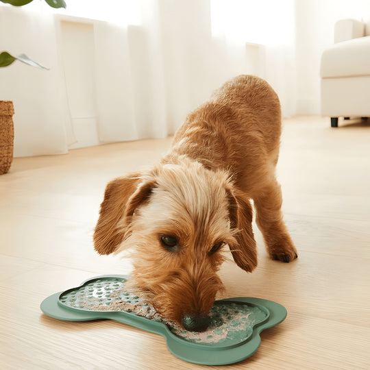 Dog licking mat with suction cups dishwasher safe – European House Hold Beirut