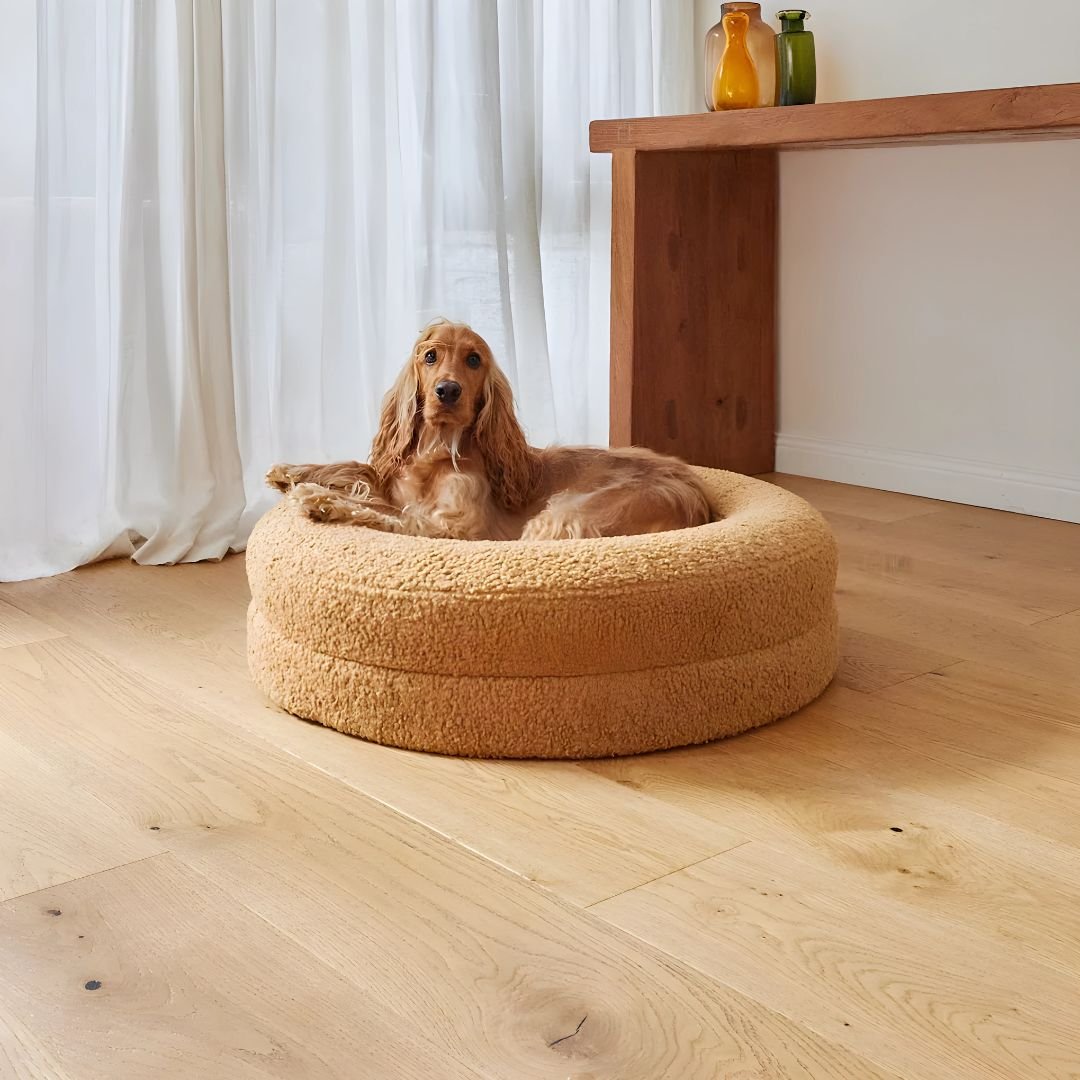 Orthopaedic memory foam dog bed with soft teddy fabric and raised edges for comfort and joint support in Lebanon