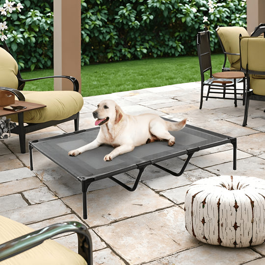 XL elevated dog bed with Teslin mesh and stainless steel frame, size 125×80×25cm, breathable, anti-slip, easy to clean, for indoor and outdoor use.

