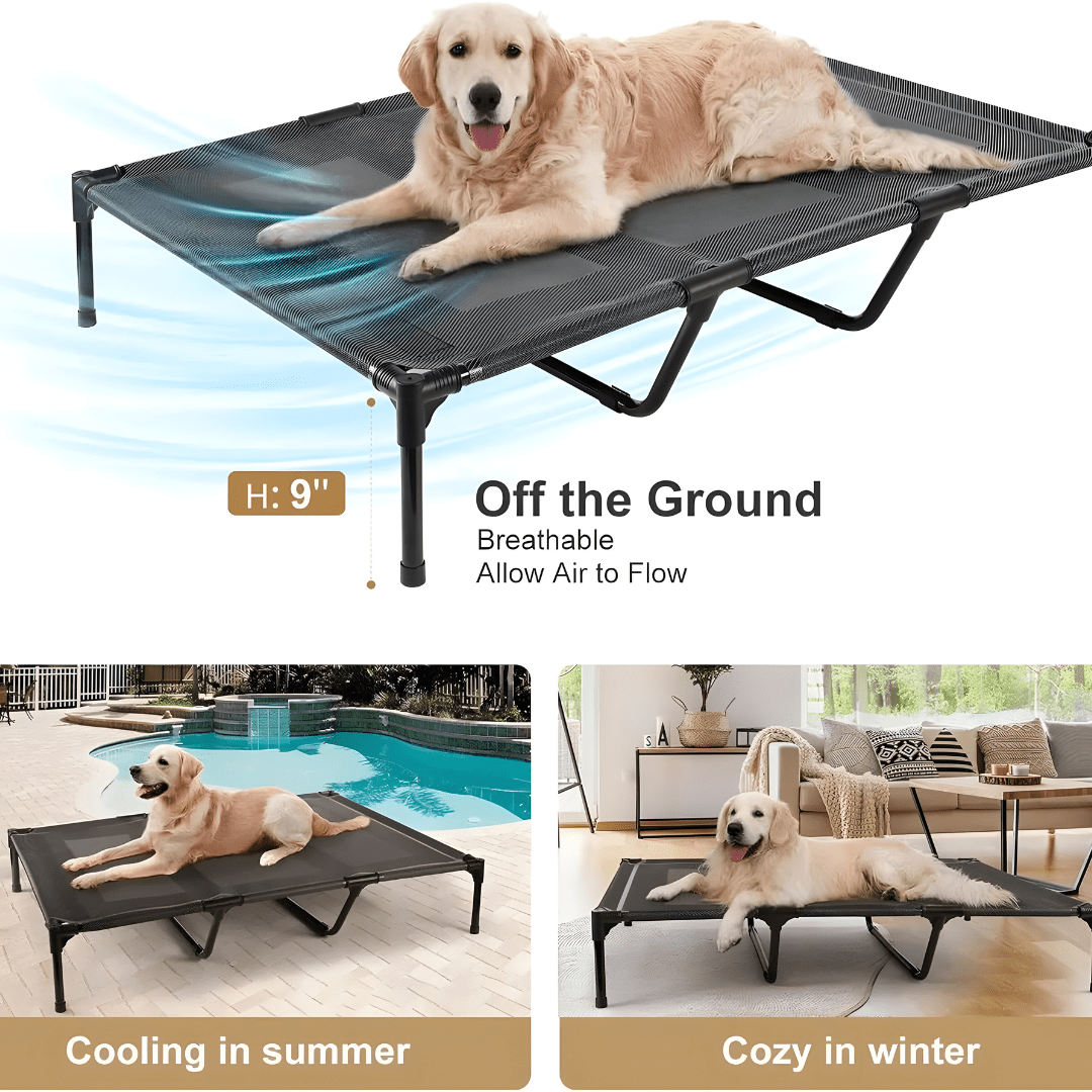 XL elevated dog bed with Teslin mesh and stainless steel frame, size 125×80×25cm, breathable, anti-slip, easy to clean, for indoor and outdoor use.

