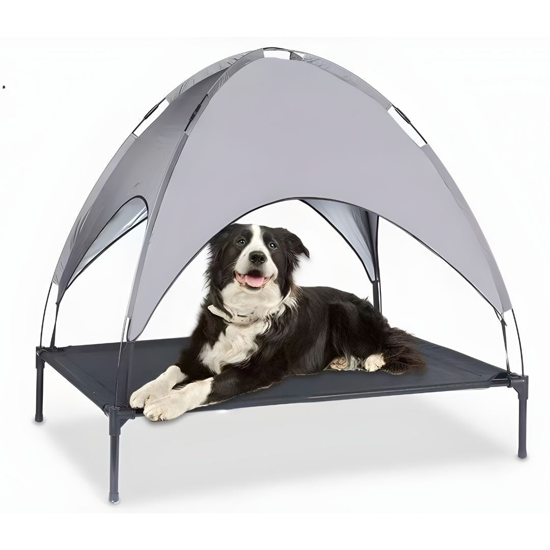 Elevated outdoor dog bed with canopy waterproof cooling pet cot for large dogs Lebanon Beirut