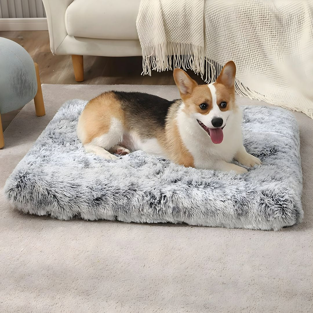plush pet sleeping mat soft dog and cat bed non slip warm indoor pet bed Lebanon Beirut