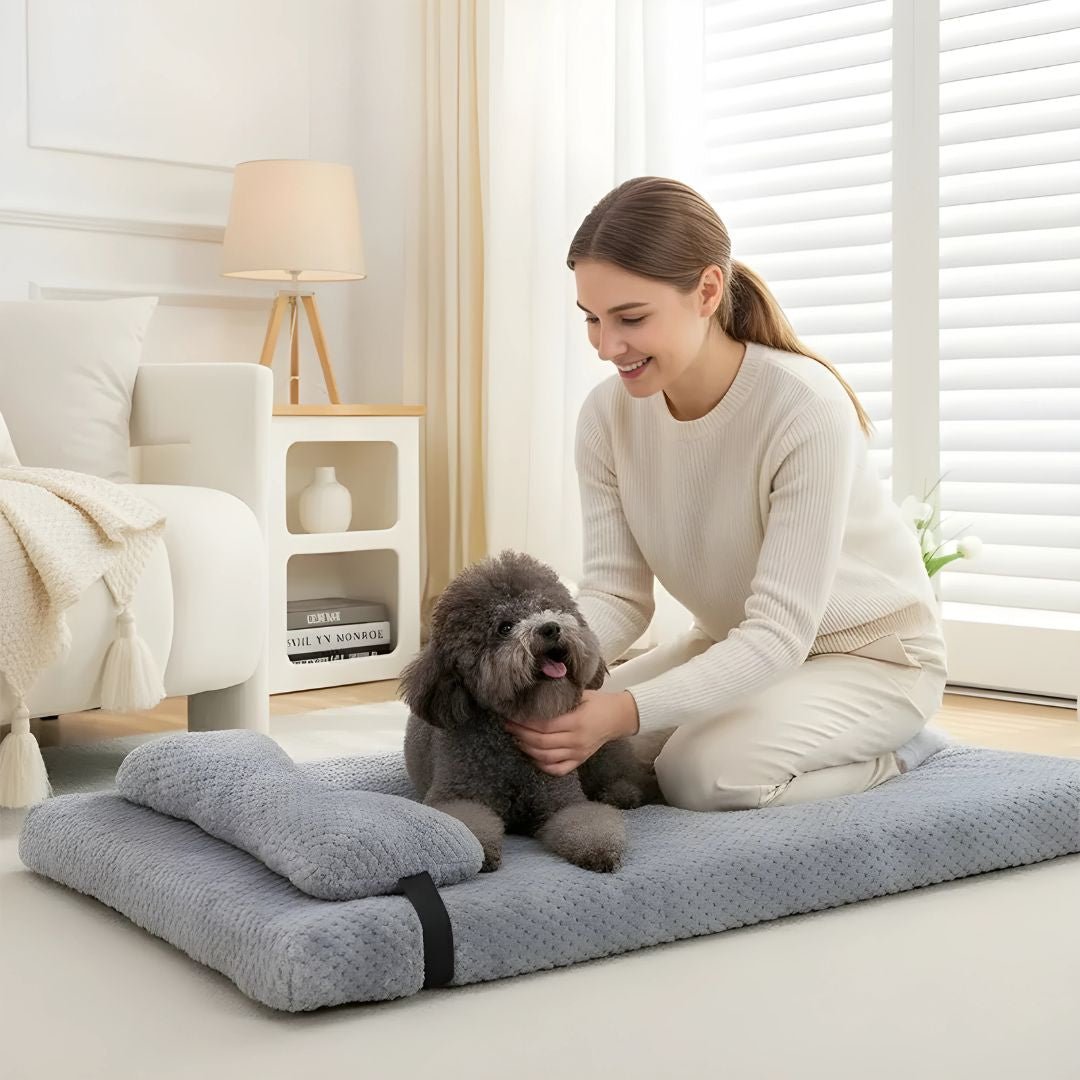 orthopedic memory foam pet bed waterproof washable dog mattress with pillow Lebanon Beirut