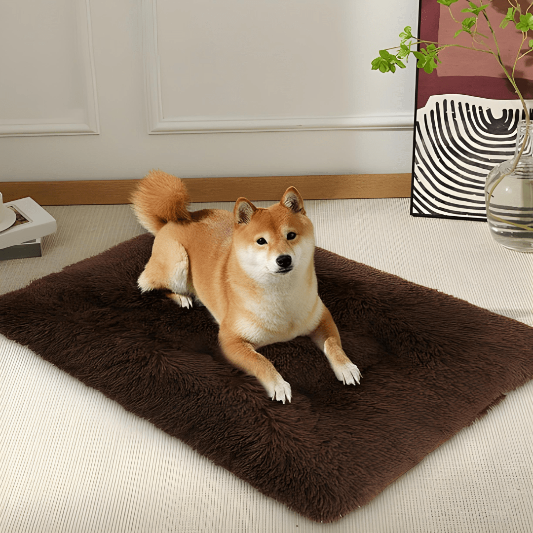 XXXL fluffy brown dog bed 120×83 cm with non-slip base for dogs up to 30kg