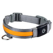 Zoofari rechargeable LED light-up dog collar size L with orange illuminated strip