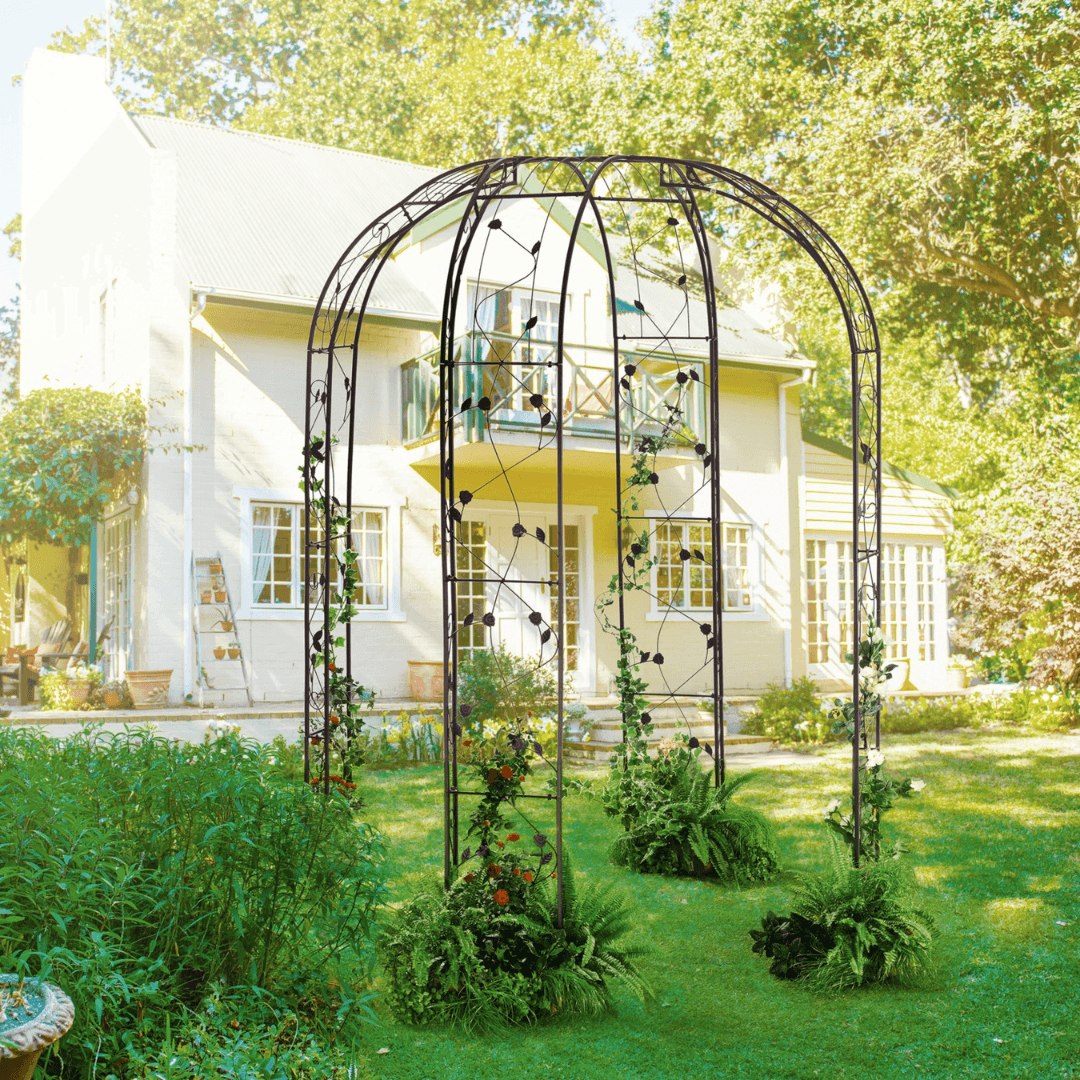 BELAVI Decorative Rose Arch , Black - EUROPEAN HOUSE HOLD