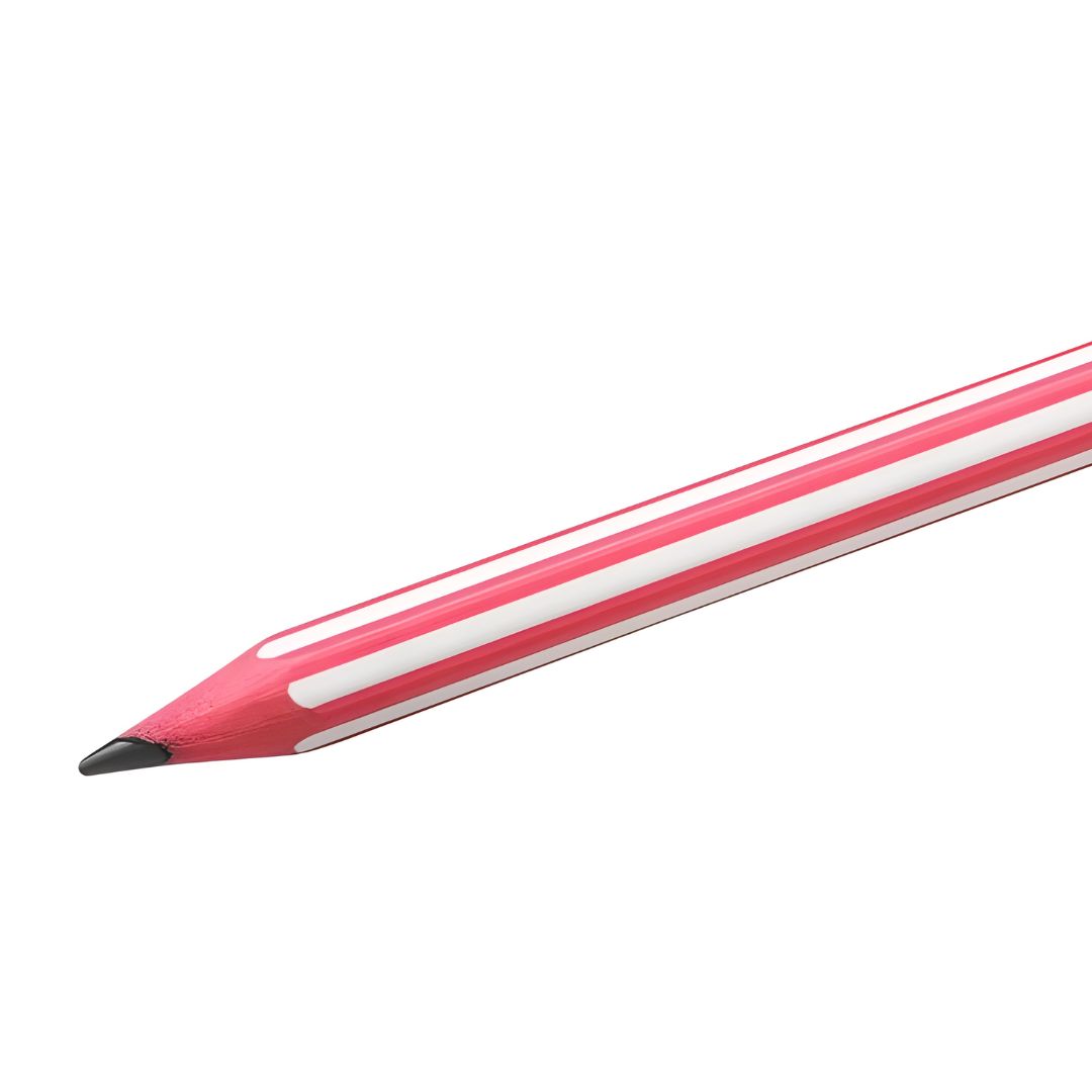 مجموعة أقلام رصاص Evolution Stripes BIC - 5 قطع