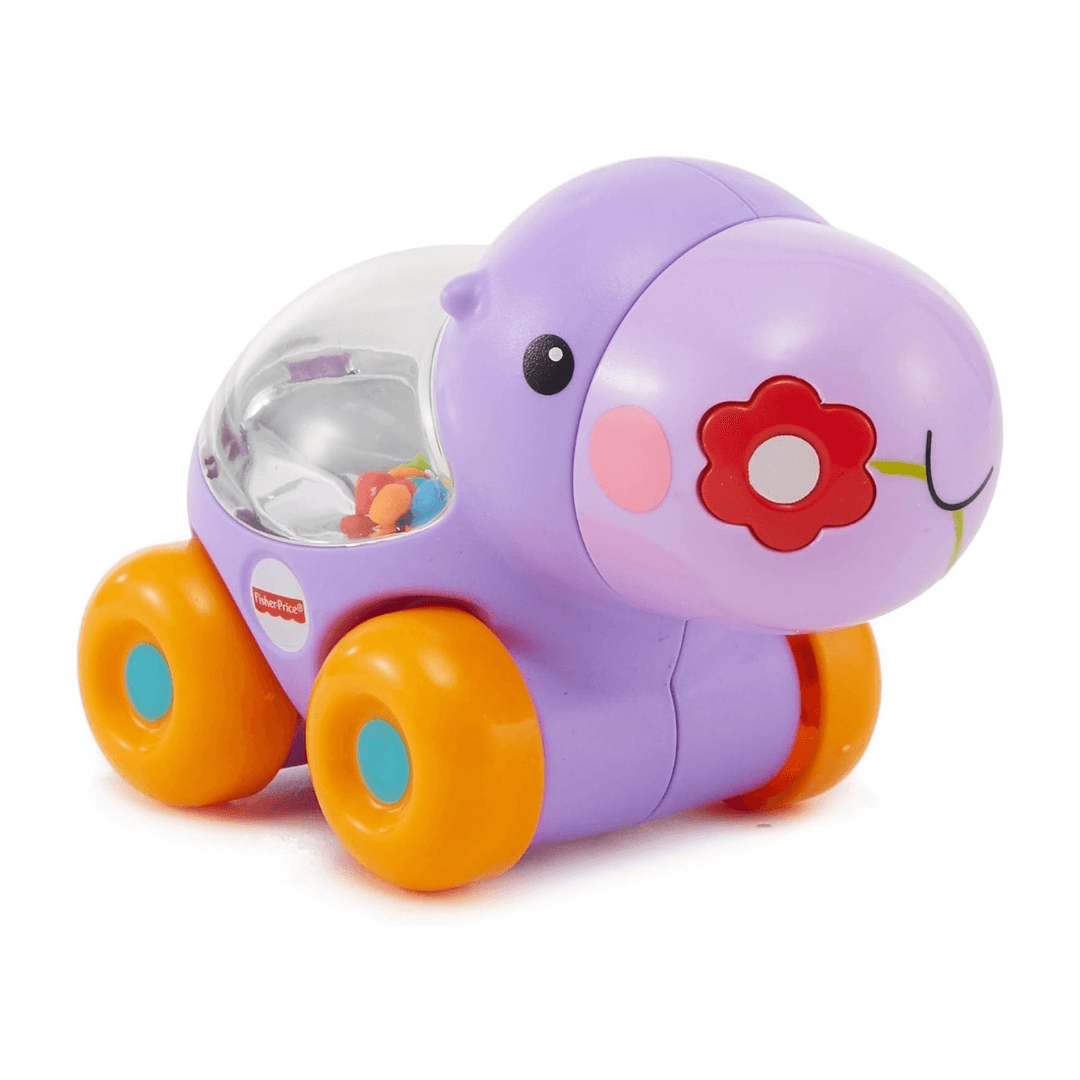 FISHER-PRICE POPPITY POP HIPPO 6M+ - EUROPEAN HOUSE HOLD