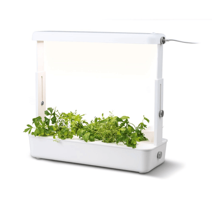 Indoor Gardening Set - EUROPEAN HOUSE HOLD