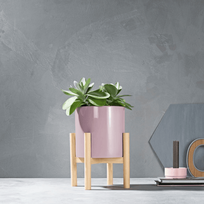 Melinera Plant Stand - EUROPEAN HOUSE HOLD