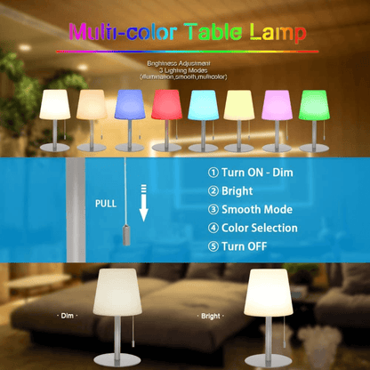 Outdoor Table Lamp With 8 Colrs Dimmable - EUROPEAN HOUSE HOLD