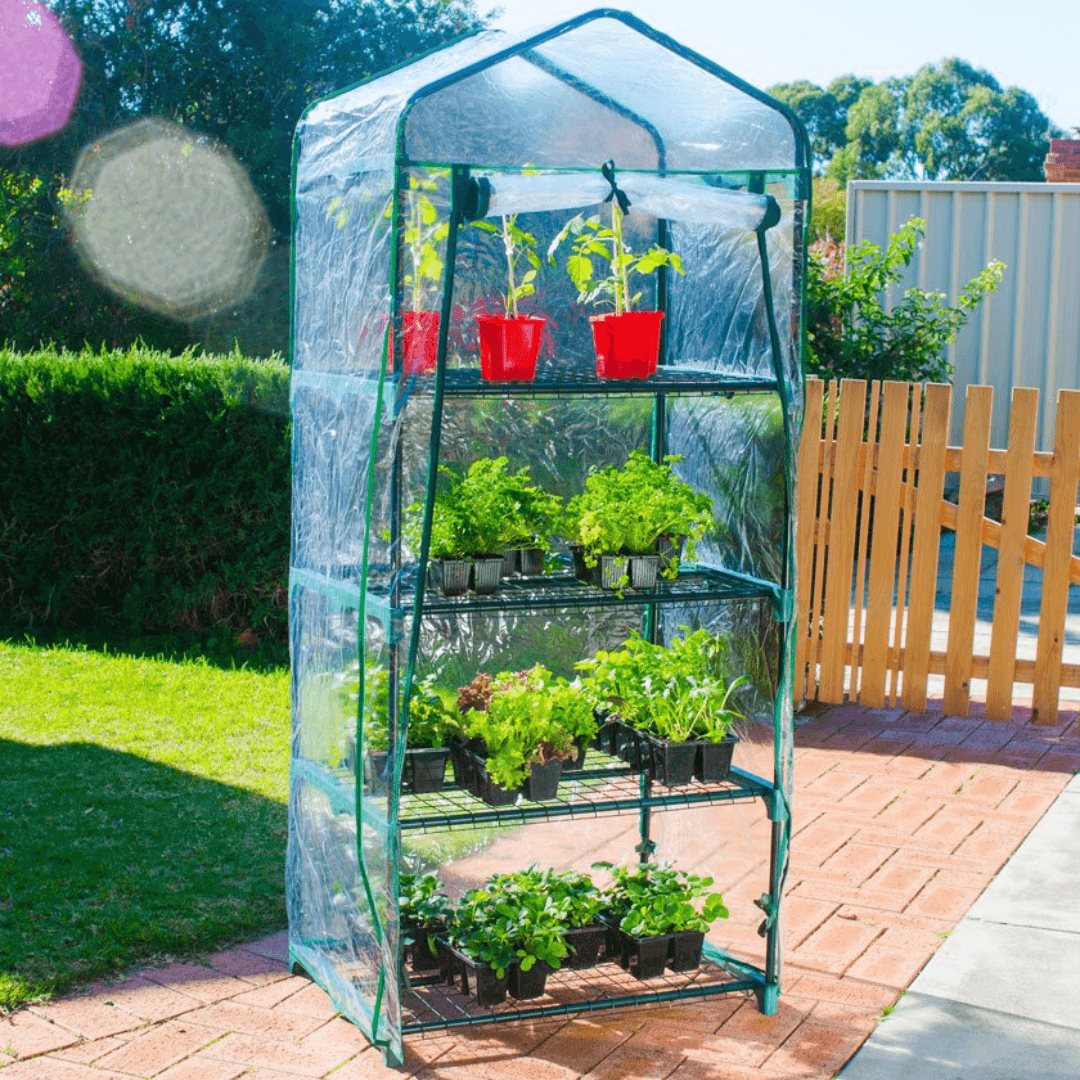 Parkside 4-Tier Mini Greenhouse - EUROPEAN HOUSE HOLD