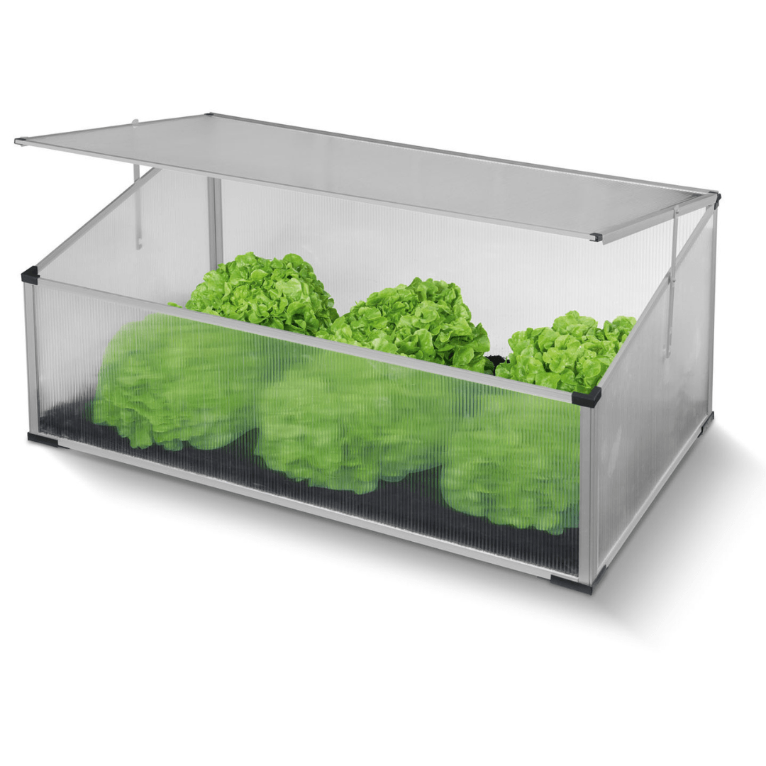 Mini greenhouse with aluminum frame and UV-resistant polycarbonate panels – Beirut Lebanon