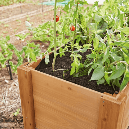 PARKSIDE WOODEN PROPAGATOR ON LEGS - EUROPEAN HOUSE HOLD