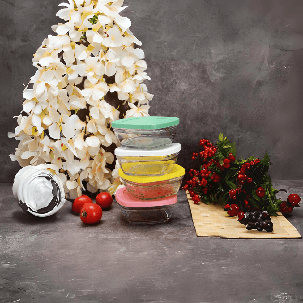 Pudding Storage Container Colorful 4 Pieces 11 × 5 cm – EUROPEAN HOUSE HOLD