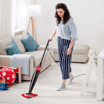 VILEDA STEAM CLEANER - EUROPEAN HOUSE HOLD