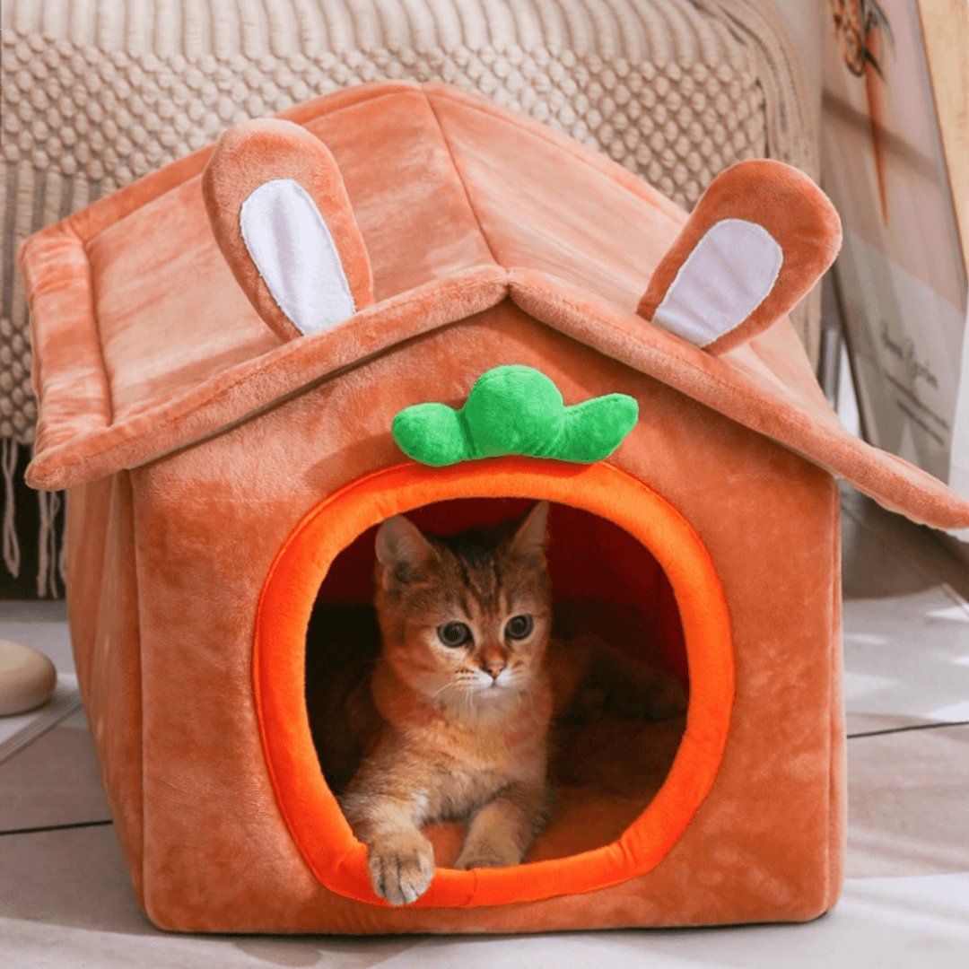 Winter Cat And Pet Dog Carrot House - EUROPEAN HOUSE HOLD