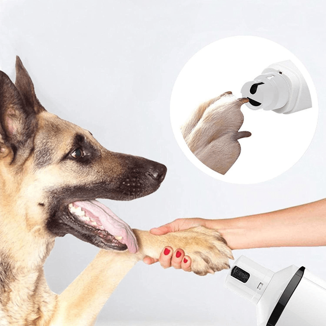Pet electric nail file online