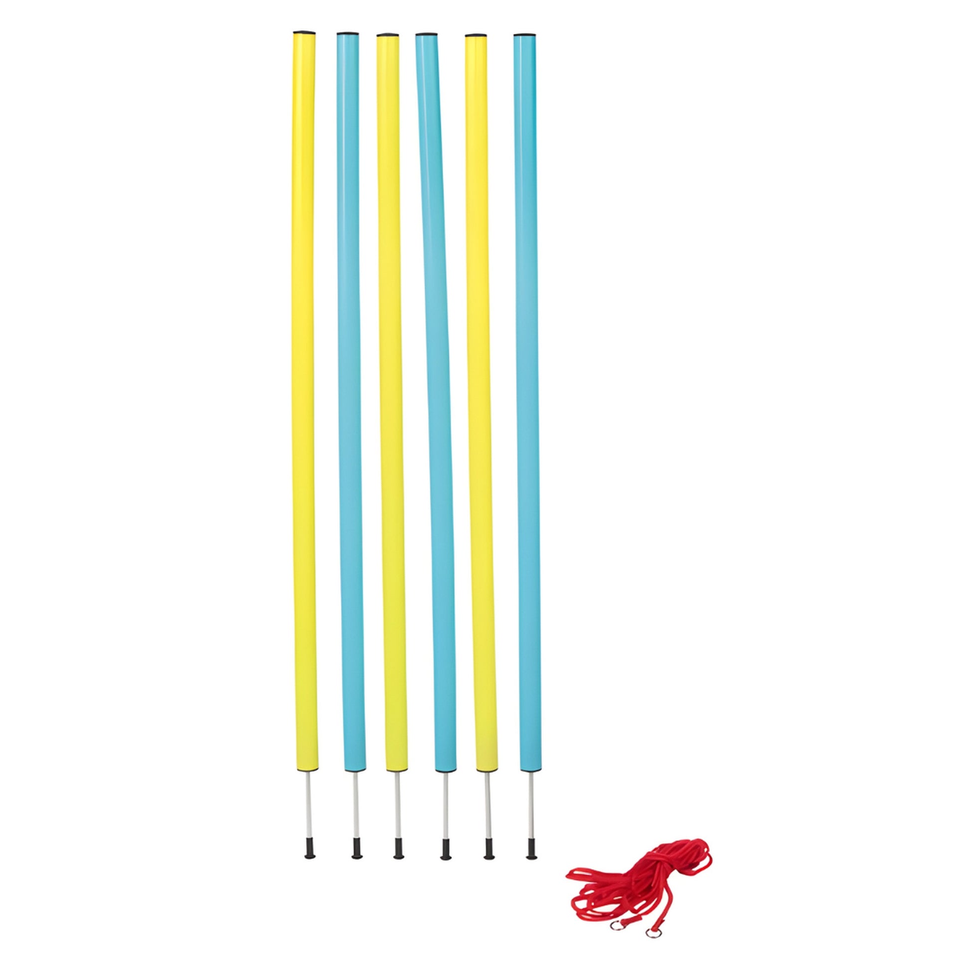 ZOOFARI DOG AGILITY SLALOM POLES: 6 PEGS - EUROPEAN HOUSE HOLD