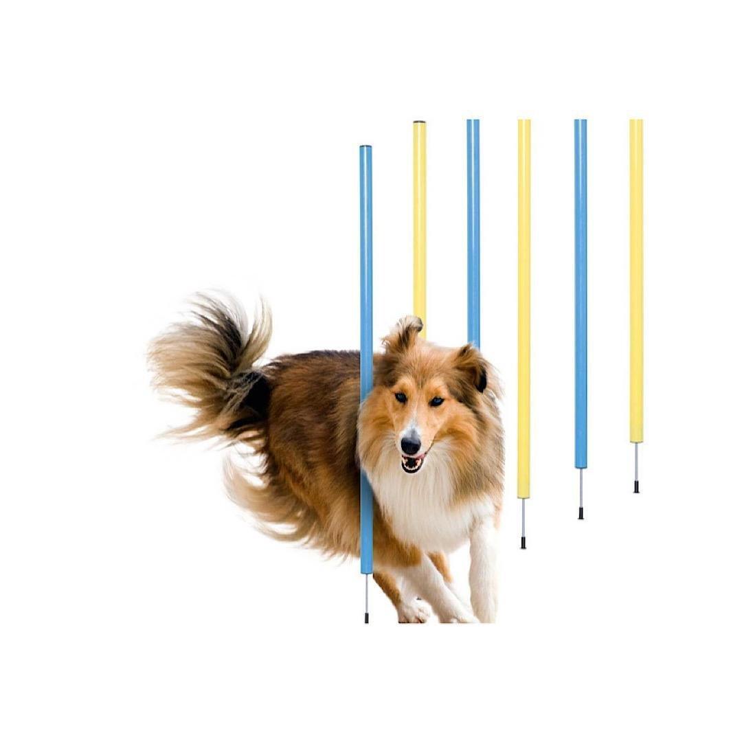 ZOOFARI DOG AGILITY SLALOM POLES: 6 PEGS - EUROPEAN HOUSE HOLD