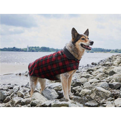 ZOOFARI DOG COAT - EUROPEAN HOUSE HOLD