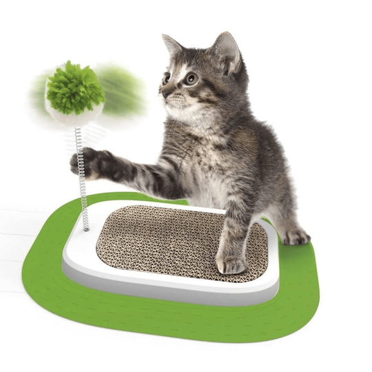 ZOOFARI® CAT CRAB ISLAND - EUROPEAN HOUSE HOLD