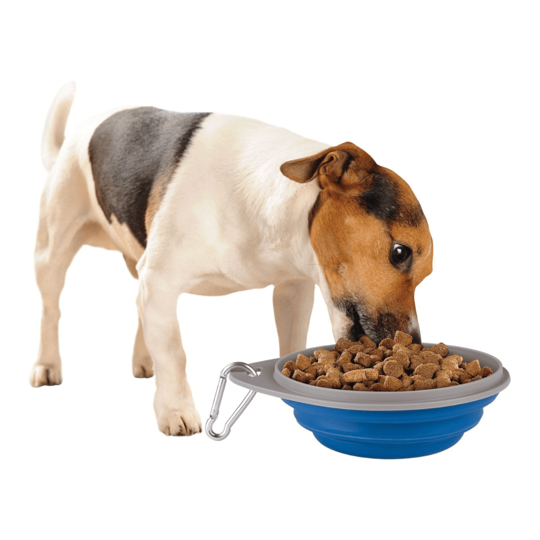 Zoofari® Pet Accessories - EUROPEAN HOUSE HOLD