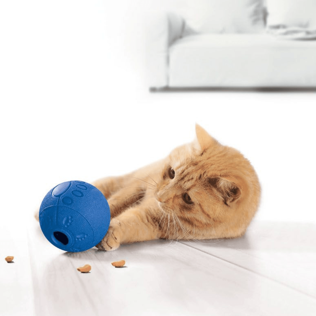 Zoofari® Pet Accessories - EUROPEAN HOUSE HOLD